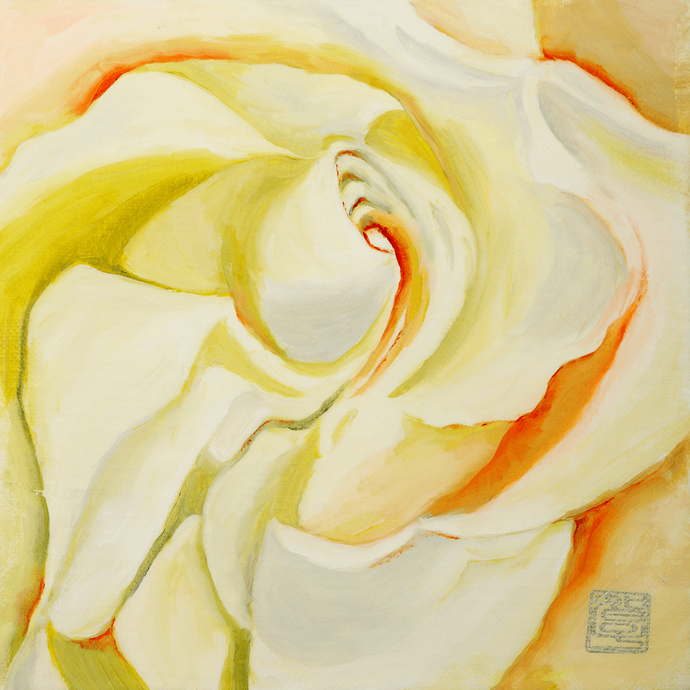 Ivory White Rose 2