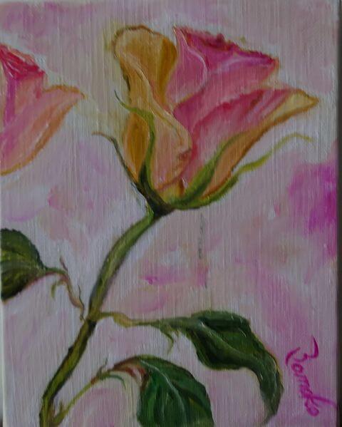 Pastel color rose 2022