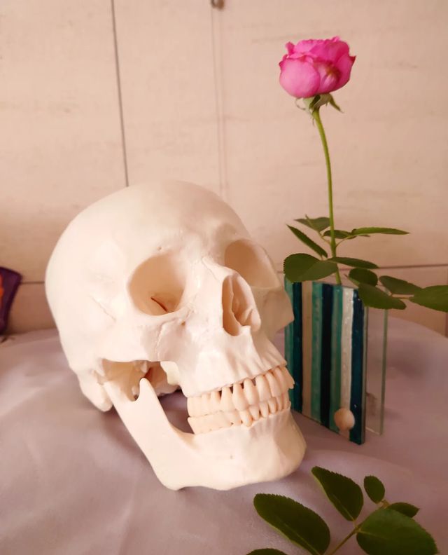 Skeleton with plants-Happy Halloween 2022
