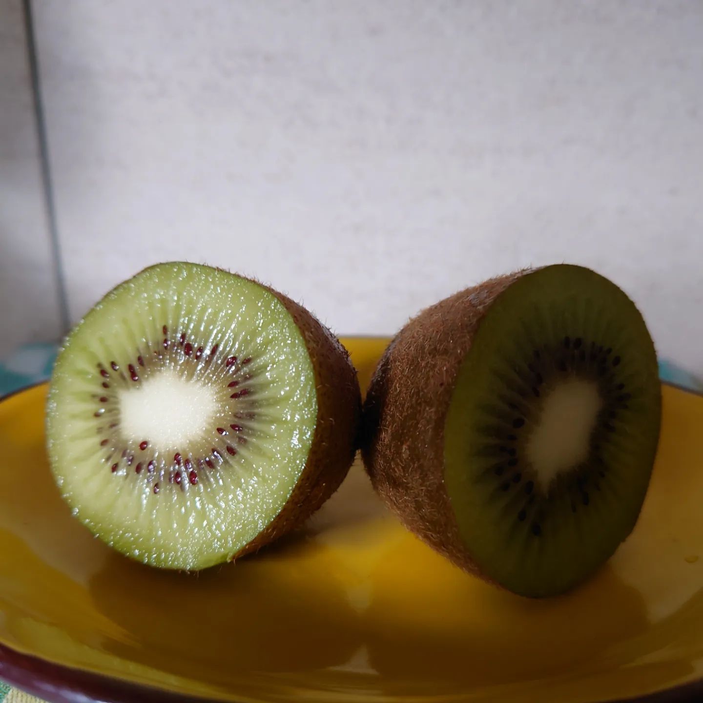 Kiwi fruits 2023