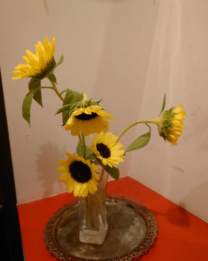 Sunflowers in blue 2023