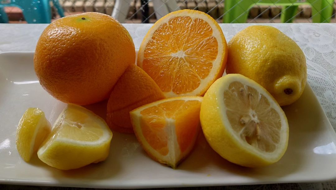 オレンジとレモン 2023