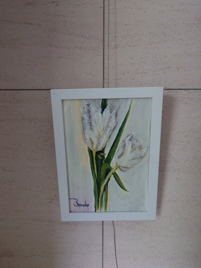 White Lace Frilled Tulips　2025