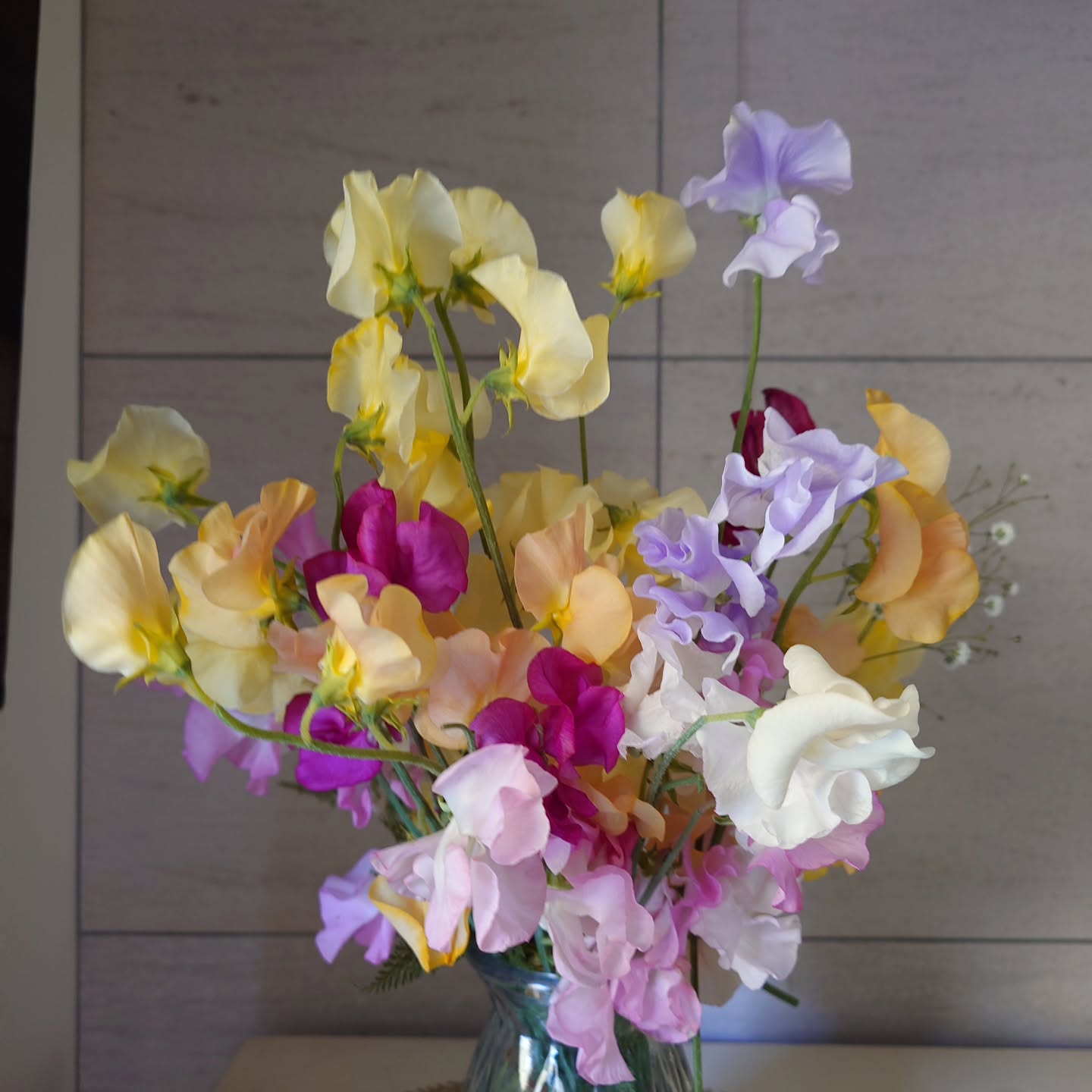 Sweet Peas Bouguet   2025